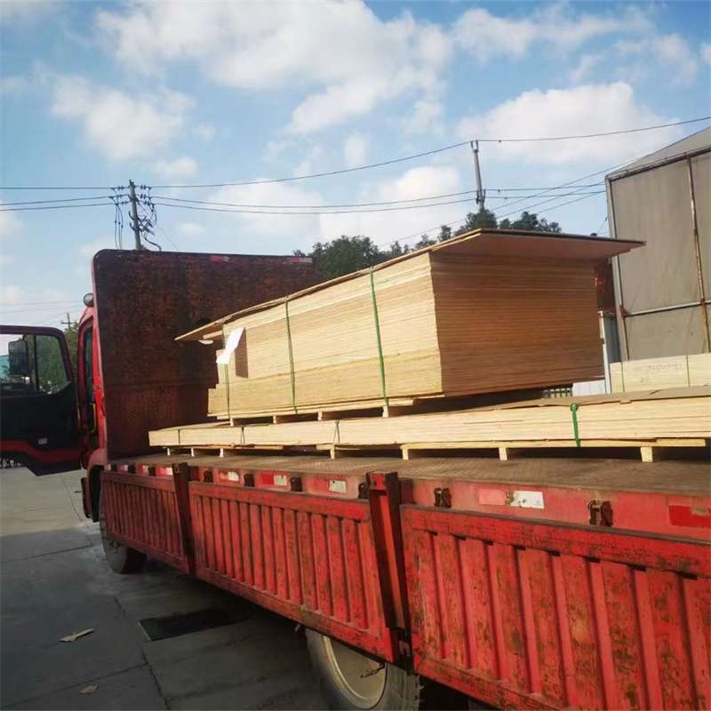 江西九江九江县至塔城货运专线，一站式物流服务助您成功